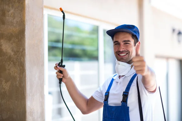 Belton Wasp Removal