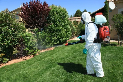 Belton Mosquito Control