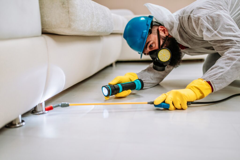 Belton Termite Control